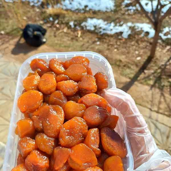 نهال آلو بخارا