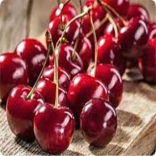 نهال آلبالو اسرائیلی